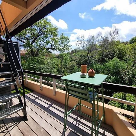 Superbe Appartement Avec Rooftop Prive 圣特罗佩 外观 照片